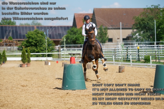 s_K3F06943.JPG